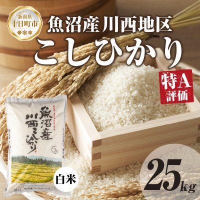 【令和7年産 新米予約】 魚沼産 川西 こしひかり 25kg 精米 新潟県産 お米 産地直送 十日町