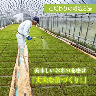 【令和7年産 新米予約】 魚沼産 川西 こしひかり 15kg 精米 新潟県産 お米 産地直送 十日町