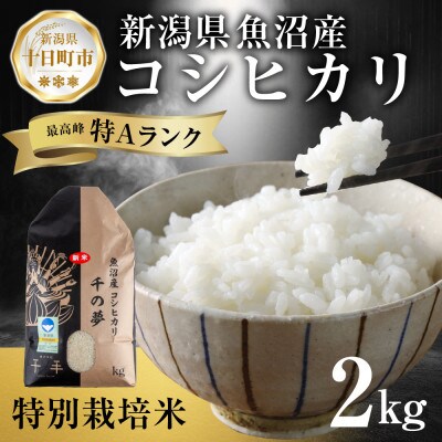 魚沼産 コシヒカリ 特別栽培米 精米 2kg 産地直送  新潟県十日町市