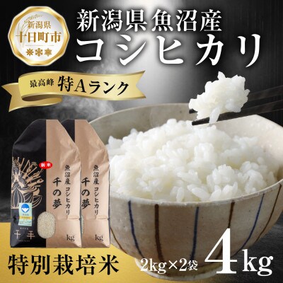 魚沼産 コシヒカリ 特別栽培米 精米 4kg 産地直送 新潟県十日町市