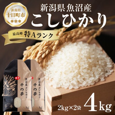 魚沼産 コシヒカリ 精米 4kg 産地直送 新潟県十日町市