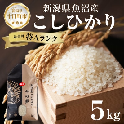 魚沼産 コシヒカリ 精米 5kg 産地直送 新潟県十日町市