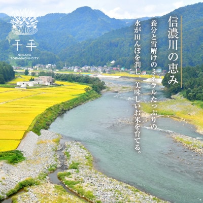魚沼産 コシヒカリ 精米 5kg 産地直送 新潟県十日町市