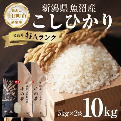 魚沼産 コシヒカリ 精米 10kg 産地直送 新潟県十日町市