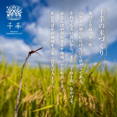 魚沼産 コシヒカリ 精米 10kg 産地直送 新潟県十日町市