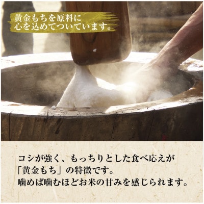 魚沼産 こがねもち米 100% 生切り餅 千の夢 白 500g × 5パック 十日町市 千手