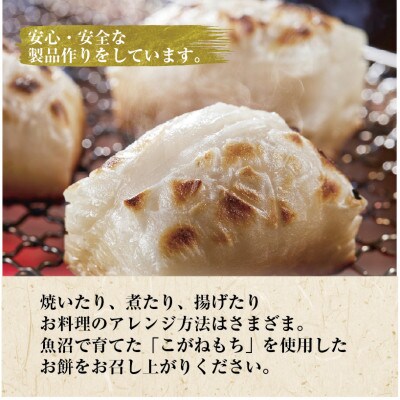 魚沼産 こがねもち米 100% 生切り餅 500g入り 白3パック・よもぎ2パック 十日町市 千手