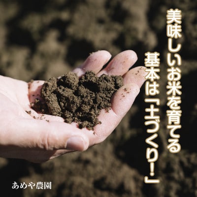【令和7年産 新米】 魚沼産 コシヒカリ 10kg 精米 産地直送 新潟県十日町市 あめや農園