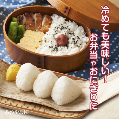 【令和7年産 新米】 魚沼産 コシヒカリ 5kg 精米 産地直送 新潟県十日町市 あめや農園