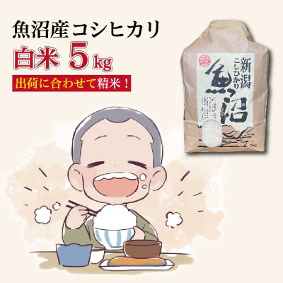 魚沼産コシヒカリ【精米】5kg