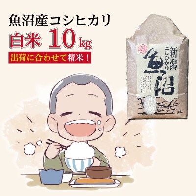 魚沼産コシヒカリ【精米】10kg