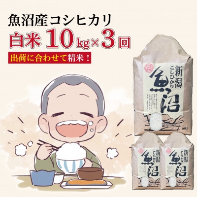 【毎月定期便】魚沼産コシヒカリ【精米】10kg全3回
