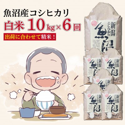 【毎月定期便】魚沼産コシヒカリ【精米】10kg全6回