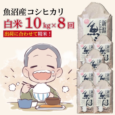 【毎月定期便】魚沼産コシヒカリ【精米】10kg全8回