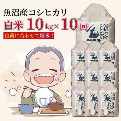 【毎月定期便】魚沼産コシヒカリ【精米】10kg全10回