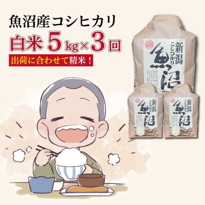 【毎月定期便】魚沼産コシヒカリ【精米】5kg全3回