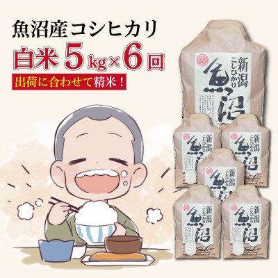 【毎月定期便】魚沼産コシヒカリ【精米】5kg全6回