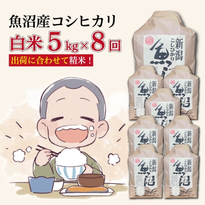 【毎月定期便】魚沼産コシヒカリ【精米】5kg全8回