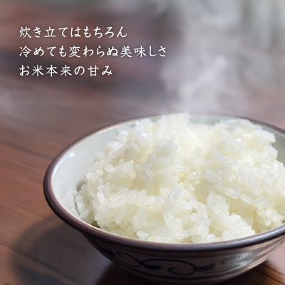 【毎月定期便】魚沼産コシヒカリ【精米】5kg全8回