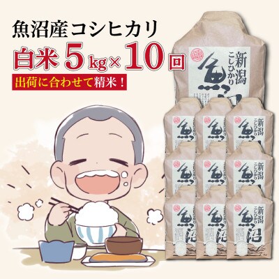 【毎月定期便】魚沼産コシヒカリ【精米】5kg全10回