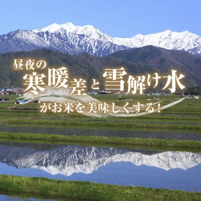 魚沼産 こしひかり 3kg 無洗米 新潟県十日町市