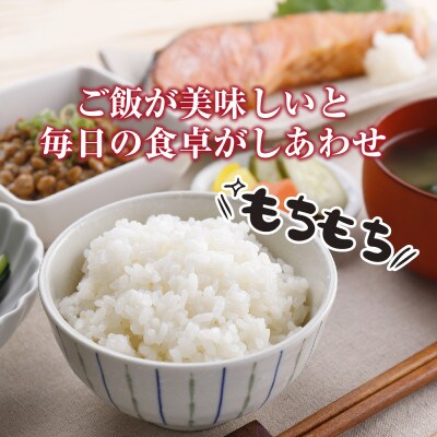 魚沼産 こしひかり 3kg 無洗米 新潟県十日町市