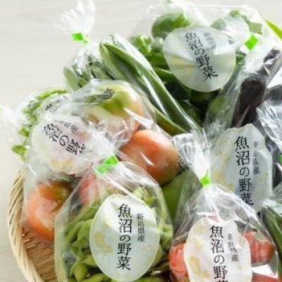 夏野菜6種　おまかせセット　4kg