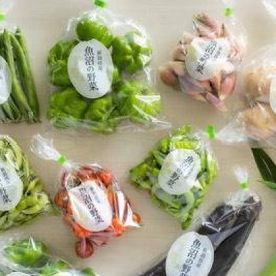 夏野菜6種　おまかせセット　4kg