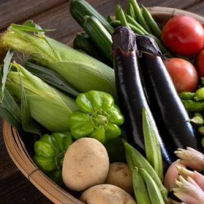 夏野菜6種　おまかせセット　4kg