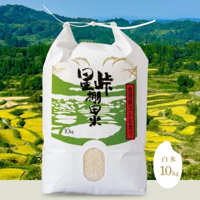食べることで守る日本の原風景!「星峠棚田米」 10kg(精米)越後まつだい 魚沼産コシヒカリ