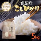 【令和7年産 新米予約】魚沼産 コシヒカリ 精米 5kg 新潟県 十日町市 仁田地区限定