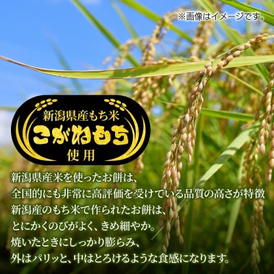 花水の福餅 しそ 500g×2パック こがねもち 新潟県 十日町市 花水農産