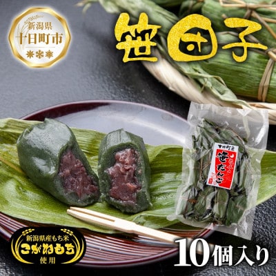 手づくり 笹団子 つぶあん 10個入り新潟県 十日町市 花水農産