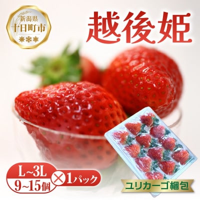 新潟県 十日町産 いちご 越後姫 9～15個 L～3L 1パック(いちごユリカーゴパック梱包)