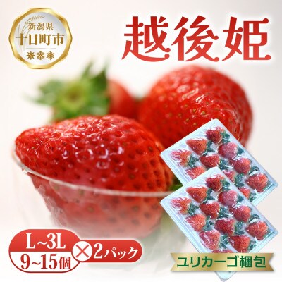 新潟県 十日町市産 いちご 越後姫 9～15個 L～3L 2パック(いちごユリカーゴパック梱包)
