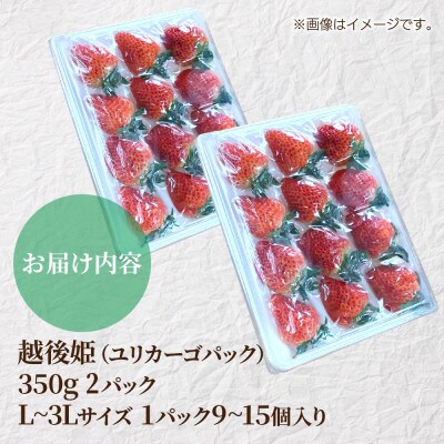 新潟県 十日町市産 いちご 越後姫 9～15個 L～3L 2パック(いちごユリカーゴパック梱包)