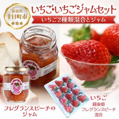 新潟県 十日町市産 いちご・いちごジャムセット(越後姫・フレグランスピーチ混合・いちごジャム)