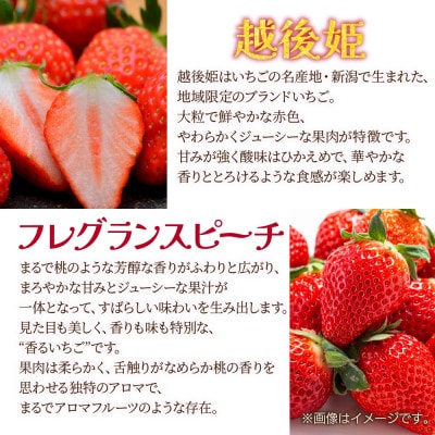 新潟県 十日町市産 いちご・いちごジャムセット(越後姫・フレグランスピーチ混合・いちごジャム)