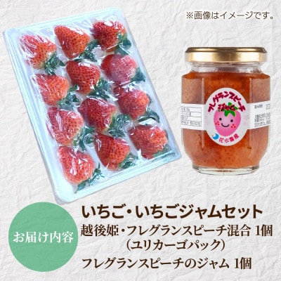 新潟県 十日町市産 いちご・いちごジャムセット(越後姫・フレグランスピーチ混合・いちごジャム)