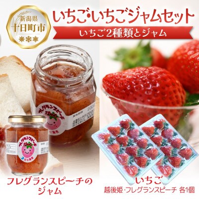 新潟県 十日町市産 いちご・いちごジャムセット(越後姫・フレグランスピーチ・いちごジャム)