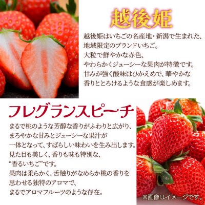 新潟県 十日町市産 いちご・いちごジャムセット(越後姫・フレグランスピーチ・いちごジャム)