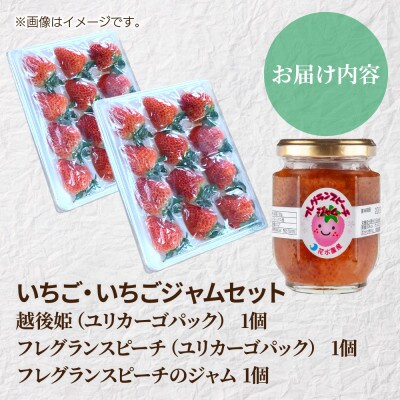 新潟県 十日町市産 いちご・いちごジャムセット(越後姫・フレグランスピーチ・いちごジャム)