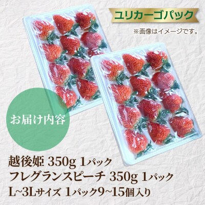 新潟県 十日町市産 いちご食べ比べセット(越後姫・フレグランスピーチ)各1パック 計2パック