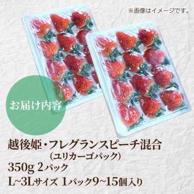 十日町産 いちご 越後姫・フレグランスピーチ混合 350g×2パック(いちごユリカーゴパック梱包)