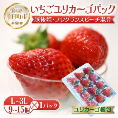 十日町市産 いちご 越後姫・フレグランスピーチ混合 350g×1パック(いちごユリカーゴパック梱包)