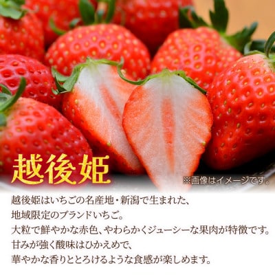 十日町市産 いちご 越後姫・フレグランスピーチ混合 350g×1パック(いちごユリカーゴパック梱包)