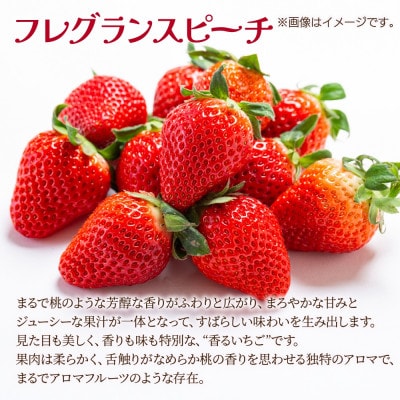 十日町市産 いちご 越後姫・フレグランスピーチ混合 350g×1パック(いちごユリカーゴパック梱包)