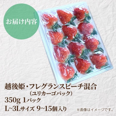 十日町市産 いちご 越後姫・フレグランスピーチ混合 350g×1パック(いちごユリカーゴパック梱包)