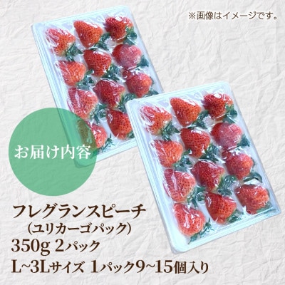 十日町市産 いちご フレグランスピーチ 9～15個 L～3L 2パック(いちごユリカーゴパック梱包)