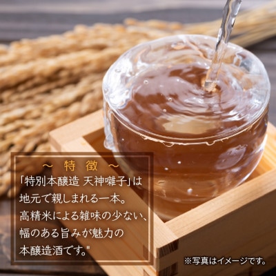 【 魚沼酒造 】日本酒 天神囃子 特別本醸造酒 720ml 4合 新潟県 十日町市